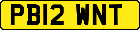 PB12WNT