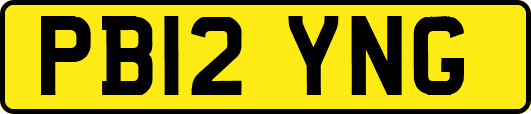 PB12YNG