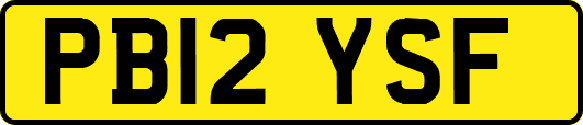 PB12YSF