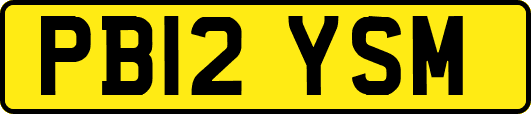 PB12YSM