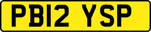 PB12YSP
