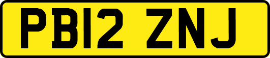 PB12ZNJ