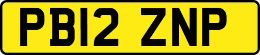 PB12ZNP