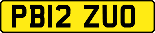 PB12ZUO