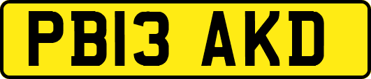 PB13AKD