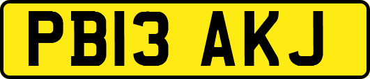 PB13AKJ