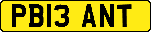 PB13ANT