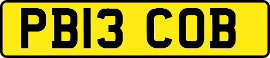 PB13COB