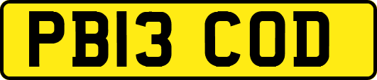 PB13COD