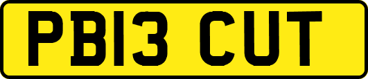 PB13CUT