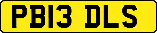 PB13DLS