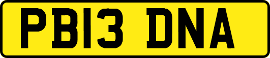 PB13DNA