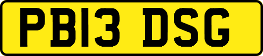 PB13DSG