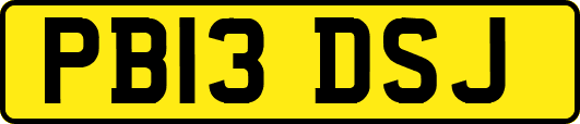 PB13DSJ