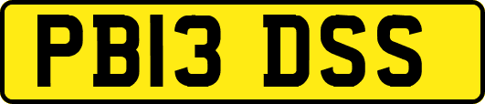 PB13DSS