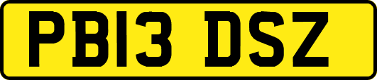 PB13DSZ