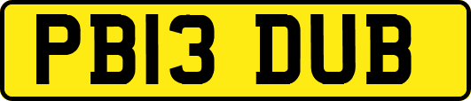 PB13DUB