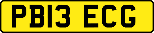 PB13ECG