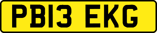 PB13EKG
