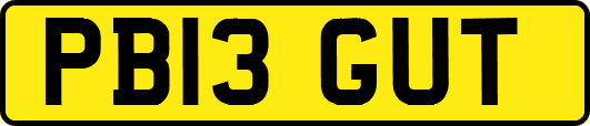 PB13GUT