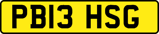 PB13HSG