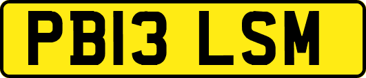 PB13LSM