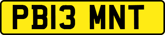 PB13MNT