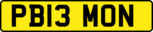 PB13MON