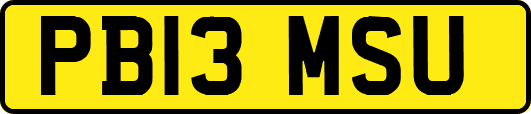 PB13MSU