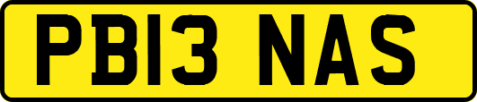 PB13NAS