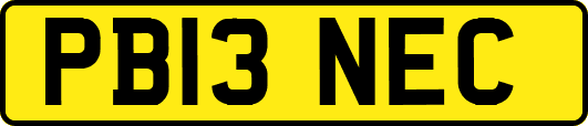 PB13NEC