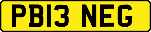 PB13NEG