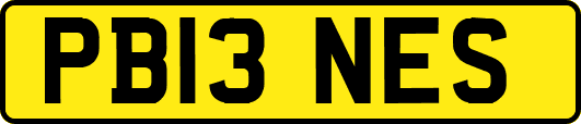 PB13NES