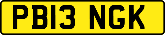 PB13NGK