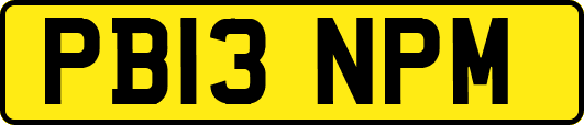 PB13NPM