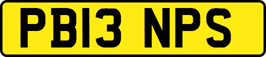 PB13NPS