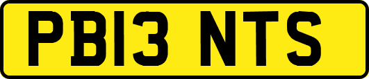 PB13NTS