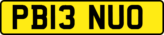 PB13NUO