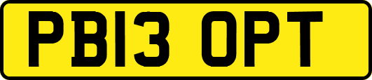 PB13OPT