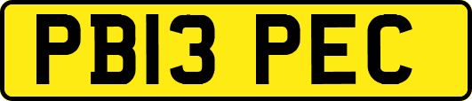 PB13PEC