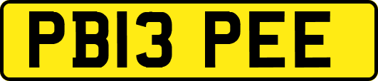 PB13PEE