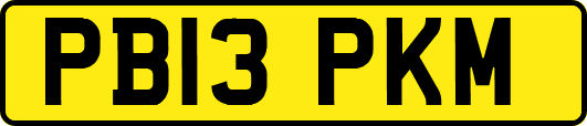 PB13PKM