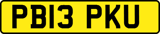 PB13PKU
