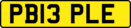 PB13PLE