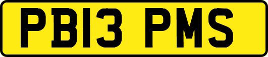 PB13PMS