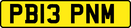 PB13PNM