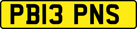 PB13PNS