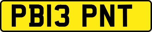 PB13PNT