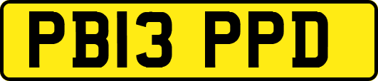 PB13PPD