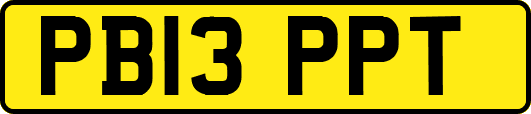 PB13PPT